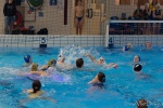 DSC02049.jpg