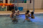 DSC01949.jpg