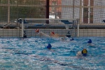 DSC01981.jpg